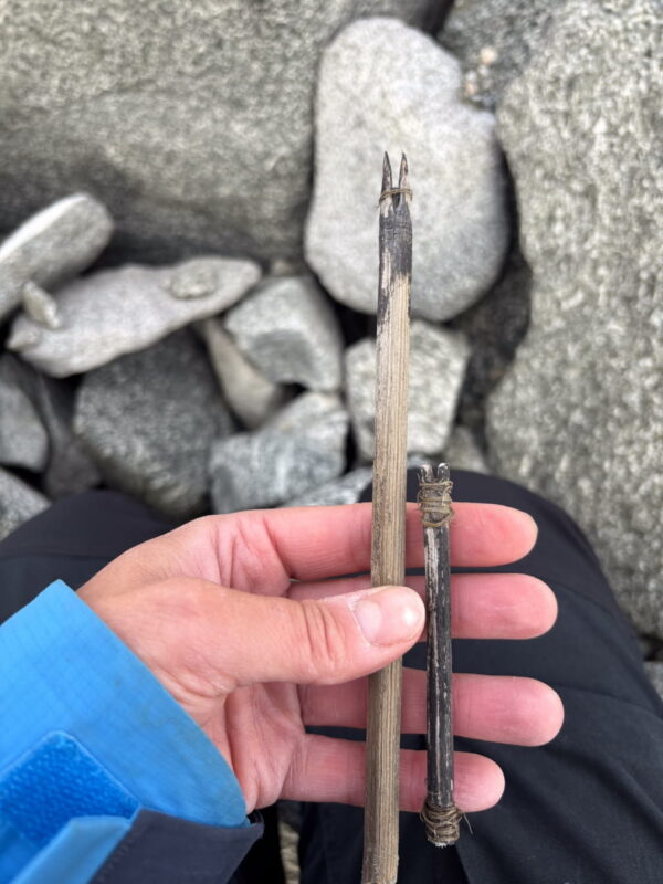 Parts of an arrow shaft. Approx. 5,000 years old. Image Credit: Åsa Rommetveit Celius, Innlandet County Municipality, Secrets of The Ice.